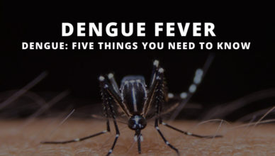 dengue symptoms IMAGE