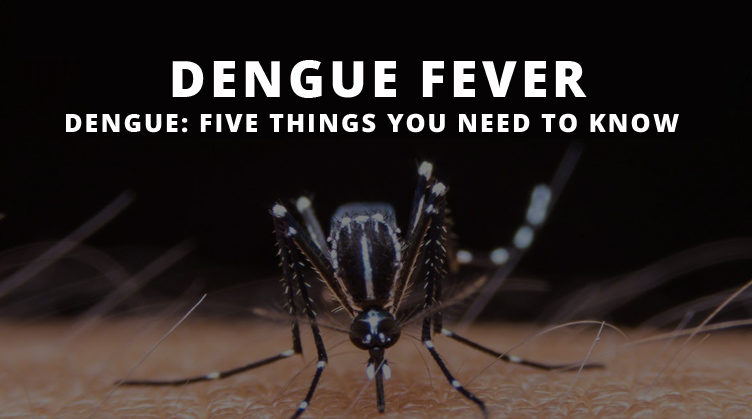 dengue symptoms IMAGE