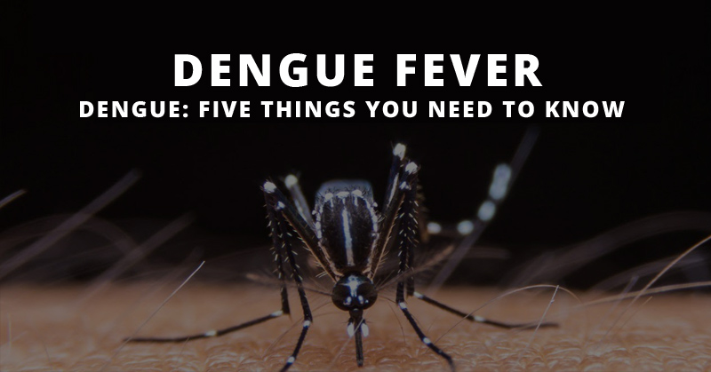 Dengue: Five Things You Need To Know