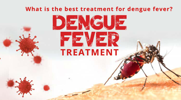 Dengue fever treatment image