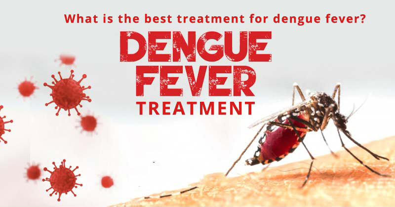 What is the best treatment for dengue fever? | Online Medicine Store